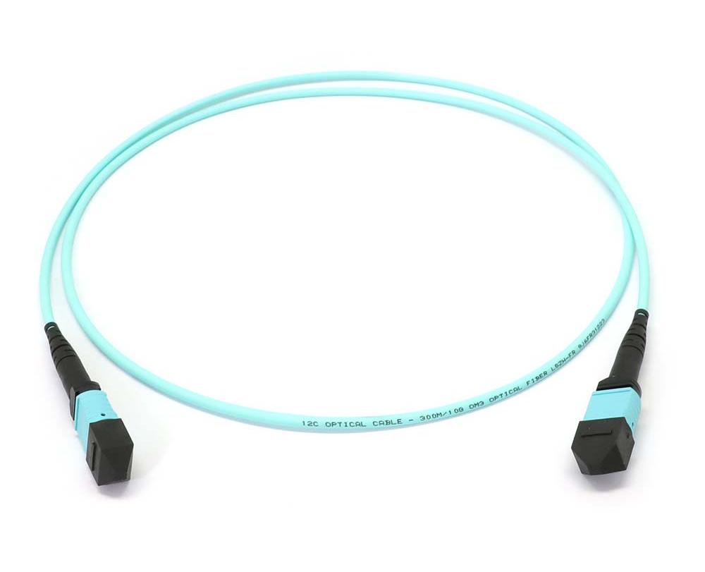 MTP to MTP Female 12 Fibers OM3 OFNP Multimode Trunk Cable