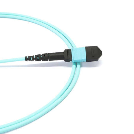 MTP to MTP (Low Loss) Female 12 Fibers OM4 OFNP Multimode Trunk Cable