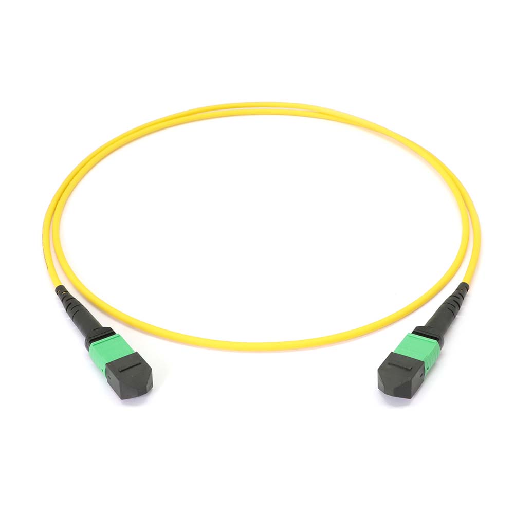 MTP to MTP Female 12 Fibers OS2 OFNP Singlemode Trunk Cable