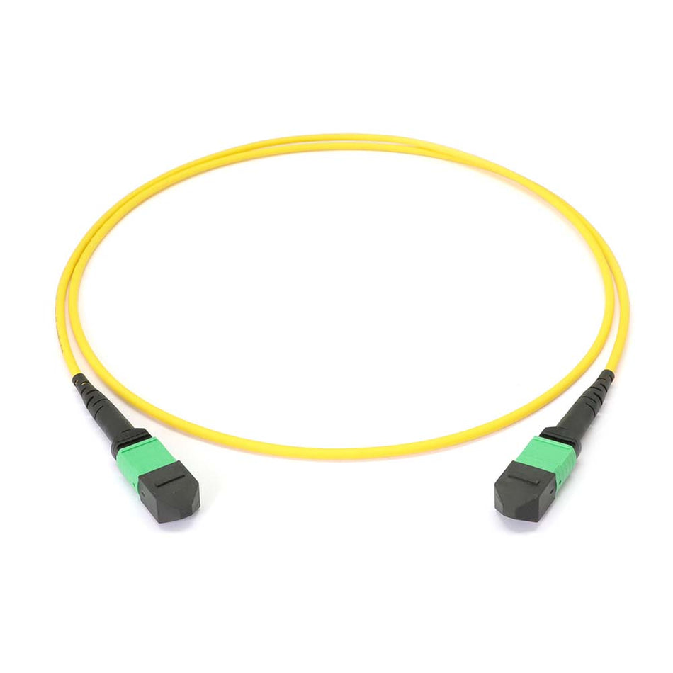 MTP to MTP Female 12 Fibers OS2 OFNP Singlemode Trunk Cable
