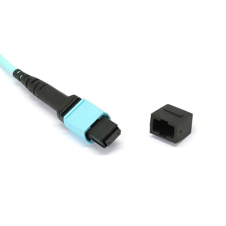 MTP to MTP Female 12 Fibers OM4 OFNP Multimode Trunk Cable